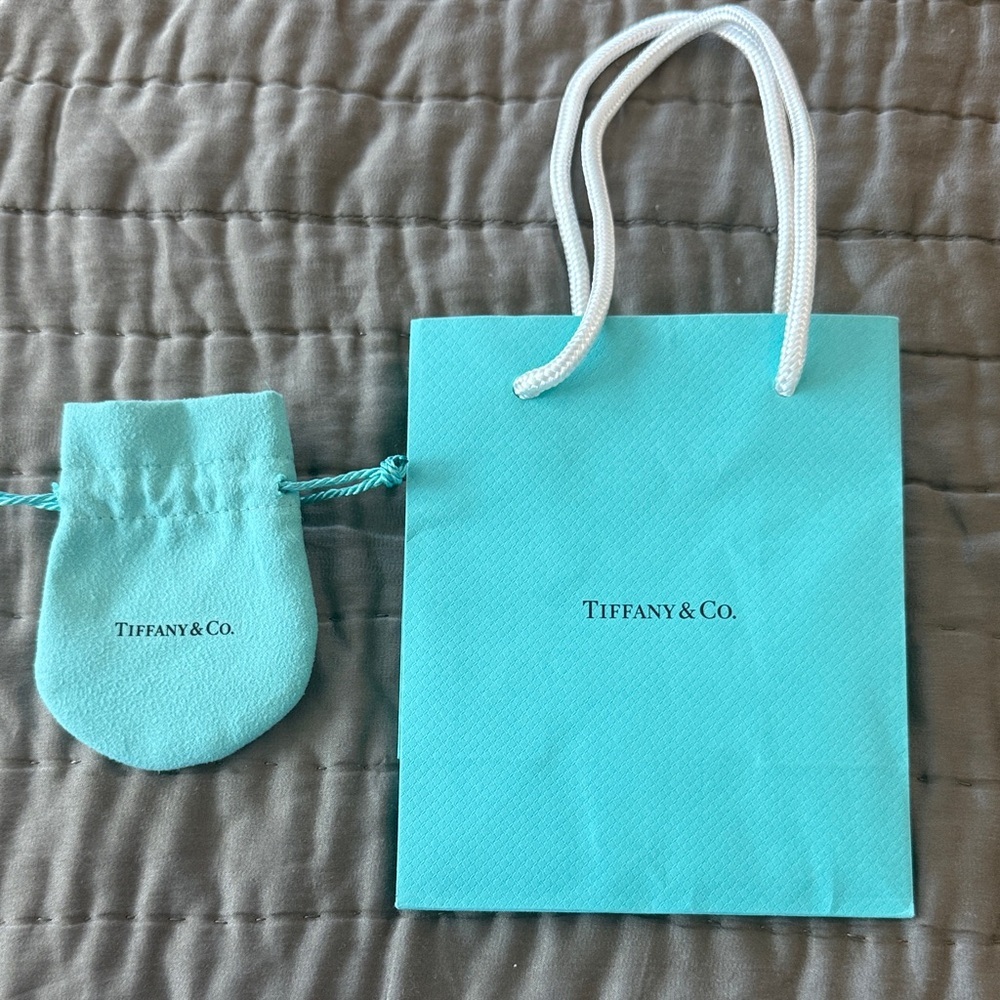 Tiffany & Co. Turquoise Bag and Pouch Set
